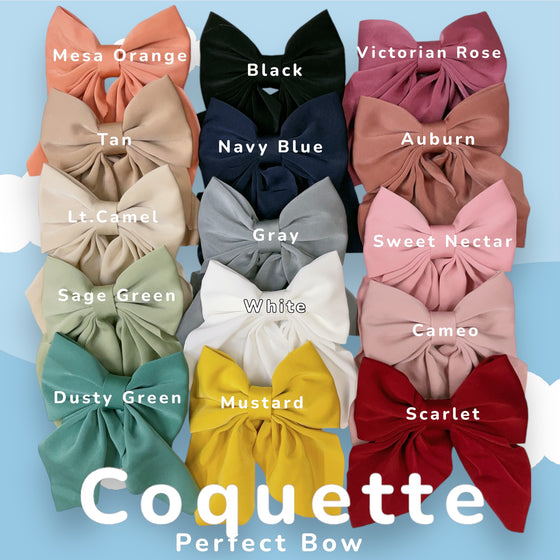 🎀(SMALL) 4.5" X 5.5" Coquette bows available in 15 colors. 6pcs/$9.00 BW-CQ-2024